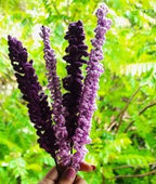 Lavender Mist Crochet Flower Stems — Pack of 2