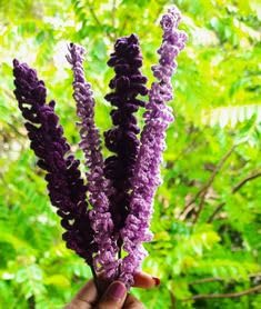 Lavender Mist Crochet Flower Stems — Pack of 2