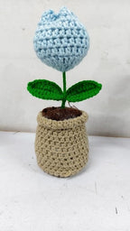 Tulip Pop Crochet Flower Pot