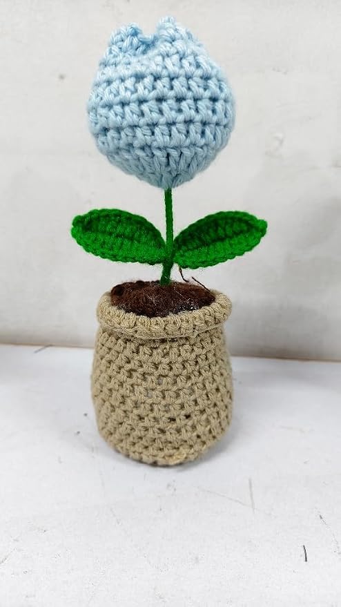 Tulip Pop Crochet Flower Pot