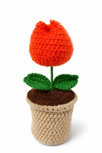 Tulip Pop Crochet Flower Pot