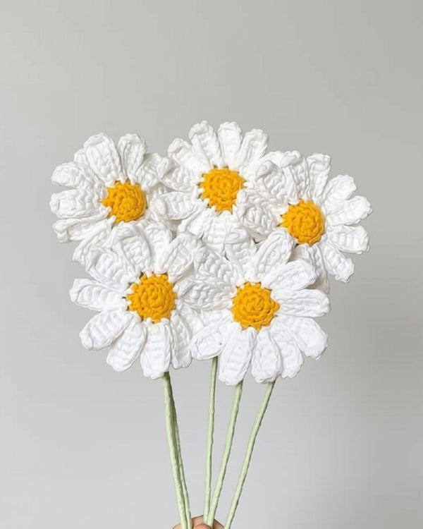 Daisy