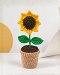 Golden Hour Sunflower Crochet Pot
